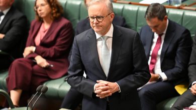 Prime Minister Anthony Albanese during Question Time at Parliament House in Canberra.